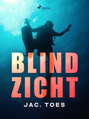 cover image of Blind zicht